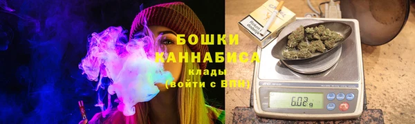 ПСИЛОЦИБИНОВЫЕ ГРИБЫ Магас