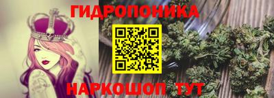 apvp Волгодонск