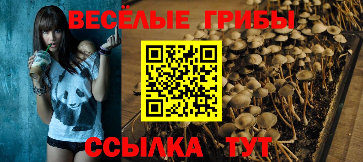 Галлюциногенные грибы Psilocybe  Вход с VPN  Псилоцибиновые грибы Psilocybine cubensis  Курган 