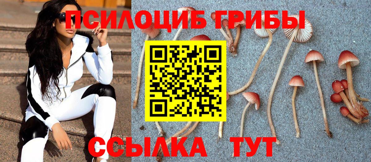 Галлюциногенные грибы мицелий Курган
